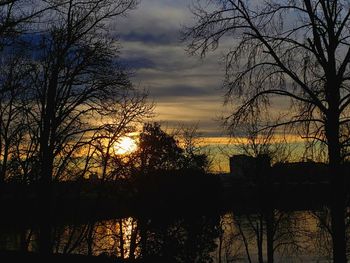 Silhouette bare trees against sky during sunset