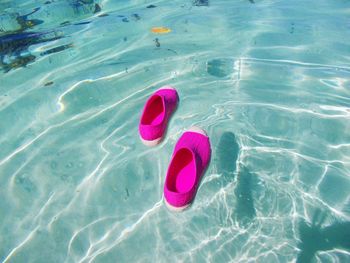 High angle view of pink floating on water