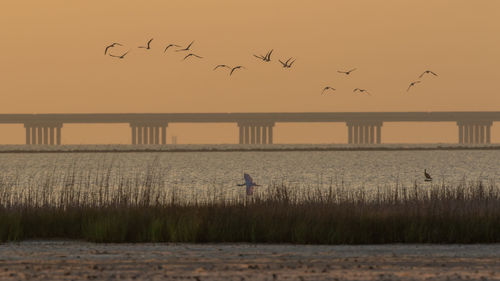 Scenic view of sea against sky during sunset with birds flying and a large bridge in the background