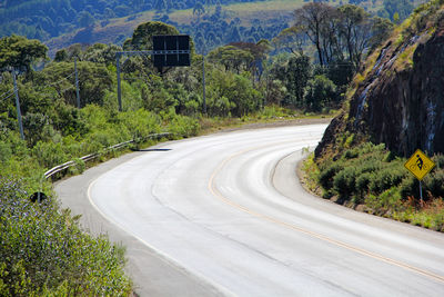 Empty road amidst trees and plants in city