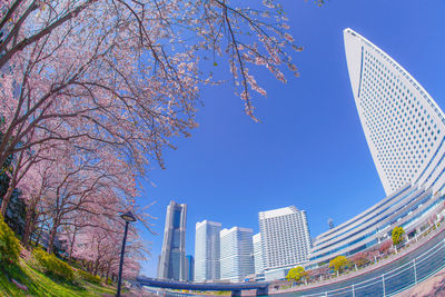 Low angle view of buildings against sky