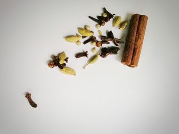 High angle view of bread on table against white background