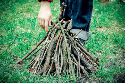 Low section of man holding twigs on grass