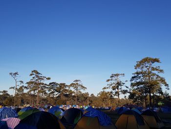 Tents in forest against clear blue sky