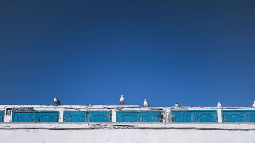 Low angle view of seagulls perching on building against blue sky