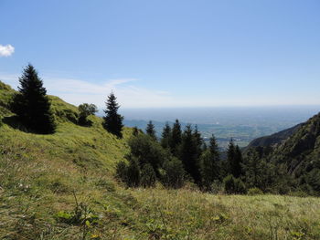 Scenic view of landscape against clear sky