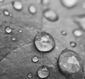 Full frame shot of water drops