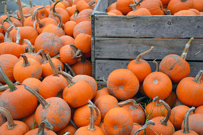 Pumpkins for sale at market stall