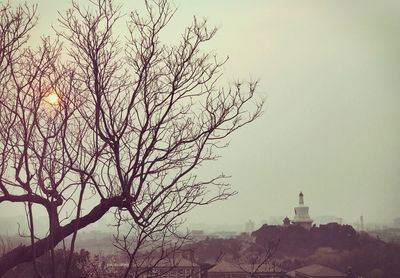 Bare tree against sky