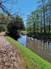 Scenic view of lake in forest against sky