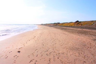 Scenic view of beach against sky