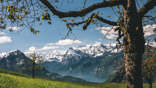 Scenic view of snowcapped mountains against sky