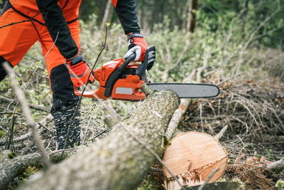 Man holding a chainsaw and cut trees. lumberjack at work. gardener working outdoor in the forest. 