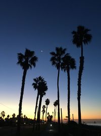 Silhouette palm trees at beach against sky at night