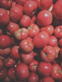 Full frame shot of tomatoes