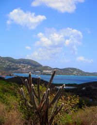 Scenic view of land against sky