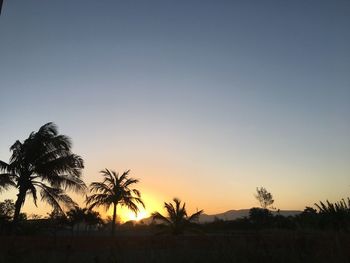 Silhouette palm trees against sky during sunset