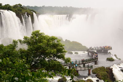 Scenic view of waterfall