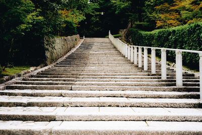 Low angle view of steps amidst trees in park