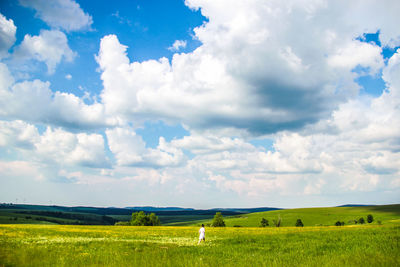 Scenic view of field against clear sky