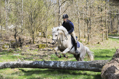 Girl riding on horse  on the move