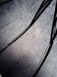 Full frame shot of wet leaf