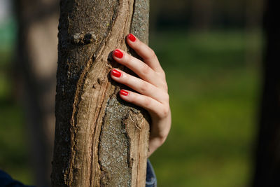 Close-up of woman hand on tree trunk