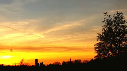 Silhouette trees against sky during sunset