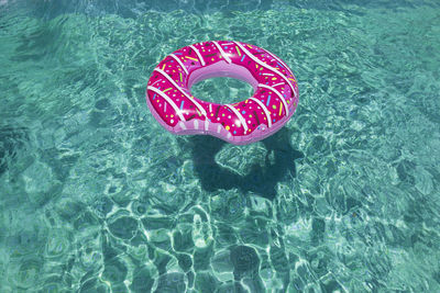 High angle view of pink floating on water