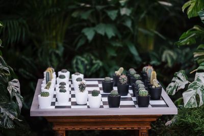 Close-up of chess pieces on table