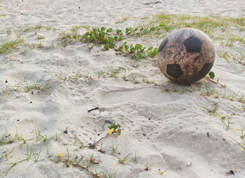 High angle view of ball on shore