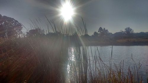 Sunset over lake