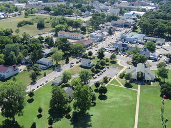 High angle view of trees in park