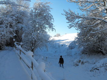 People on snow covered land against trees