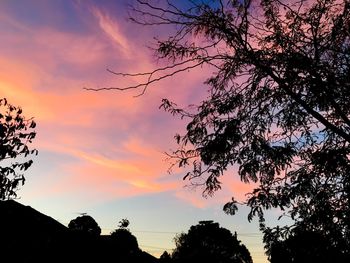 Low angle view of silhouette trees against sky