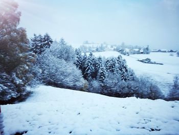 Frozen trees against sky during winter