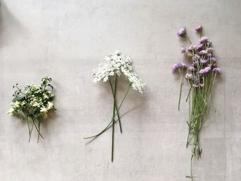 Directly above shot of flowers on table