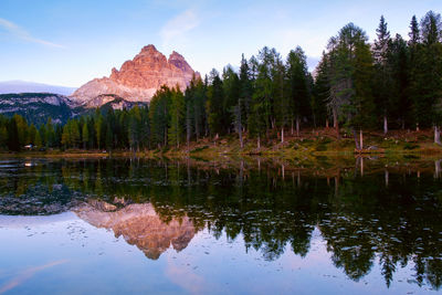 Reflection of trees in lake against sky