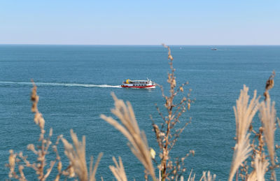 Ship sailing in sea against clear sky