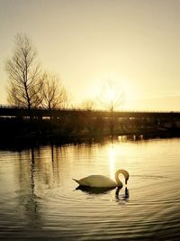 Silhouette man swimming in lake against sky during sunset