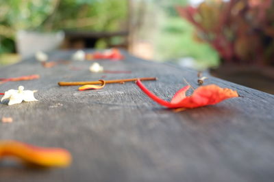 Close-up of autumn leaves on table