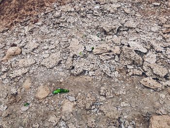 Full frame shot of cracked field