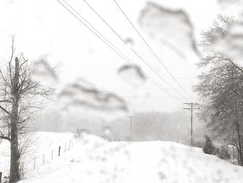 Snow covered landscape