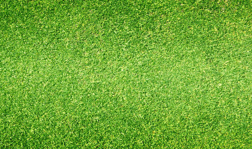 Full frame shot of soccer field