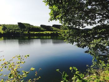 Scenic view of lake in forest against sky