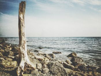 Close-up of rock in sea against sky