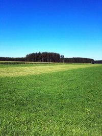 Scenic view of field against clear blue sky