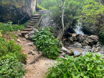 High angle view of rocks amidst trees in forest