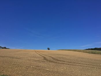 Scenic view of field against clear blue sky