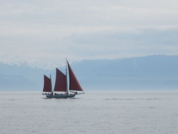 Sailboat sailing on sea against sky